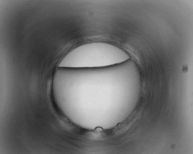 X0000103230118200808280959