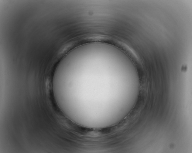 X0000103230119200808280959