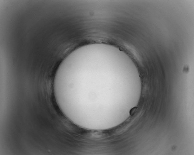 X0000103230121200808280959