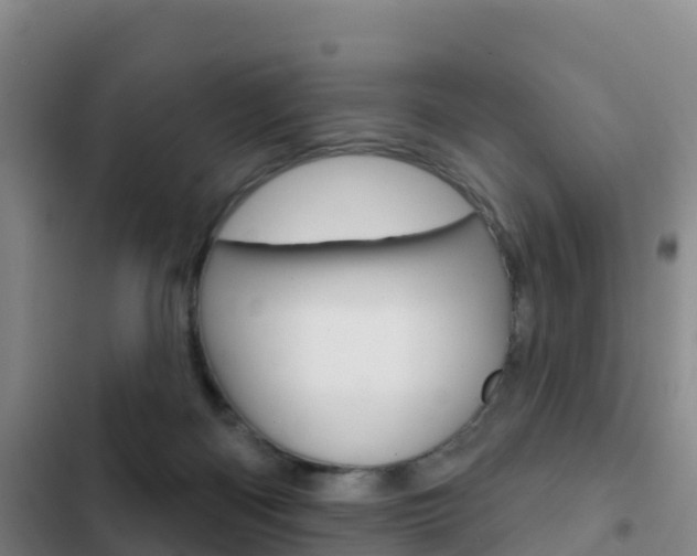 X0000103230122200808280959