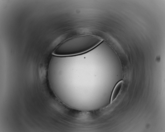 X0000103230124200808280959
