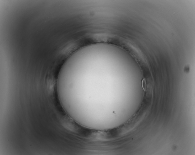 X0000103230125200808280959