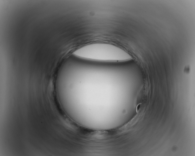 X0000103230128200808280959