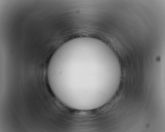 X0000103230129200808280959