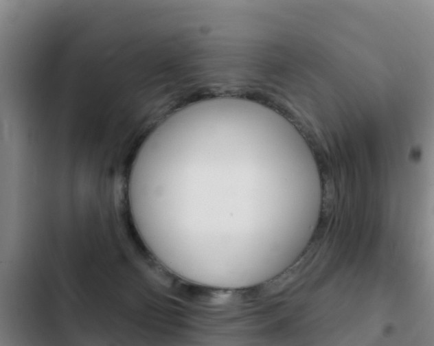 X0000103230130200808280959