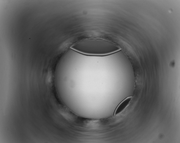 X0000103230132200808280959