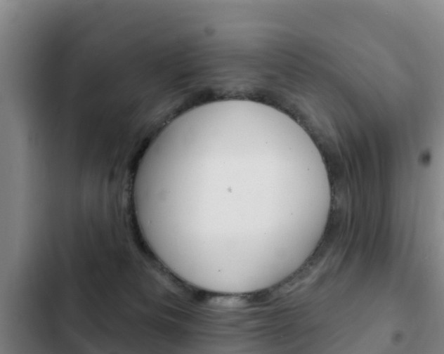 X0000103230133200808280959