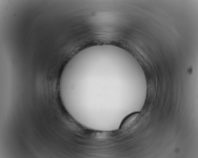 X0000103230134200808280959