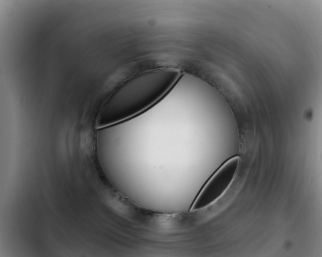 X0000103230136200808280959