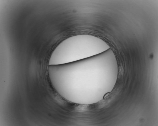 X0000103230138200808280959