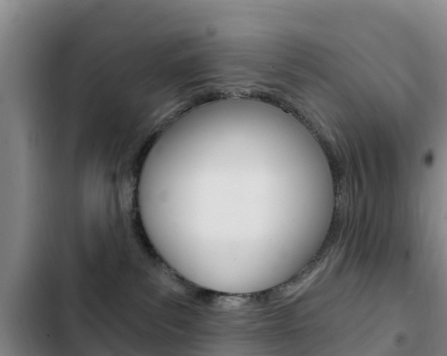 X0000103230139200808280959