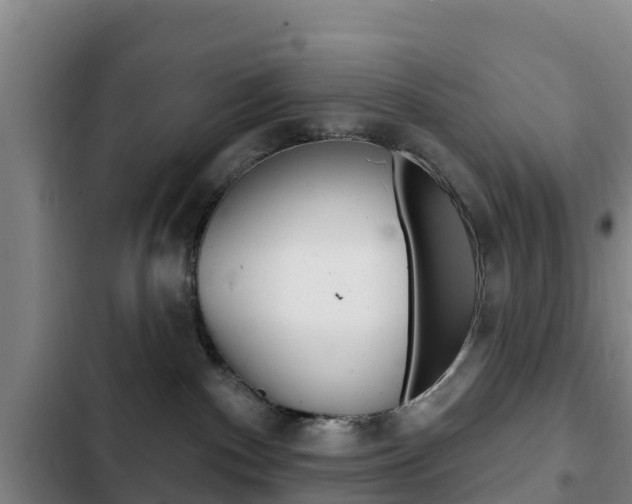 X0000103230140200808280959
