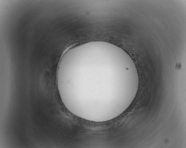 X0000103230144200808280959
