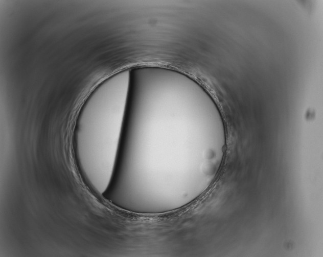 X0000103230145200808280958