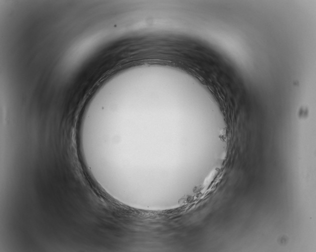 X0000103230146200808280958