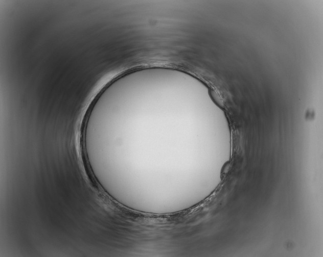 X0000103230147200808280958