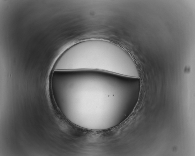 X0000103230148200808280958