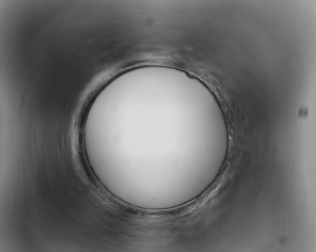 X0000103230149200808280958