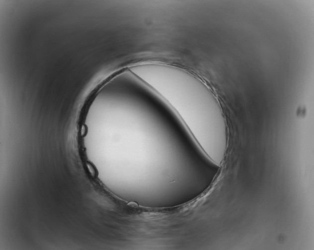 X0000103230150200808280958