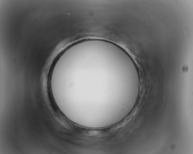 X0000103230151200808280958