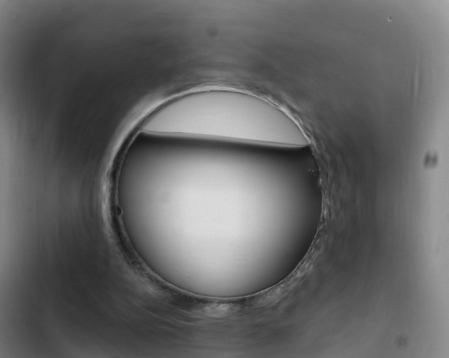X0000103230152200808280958