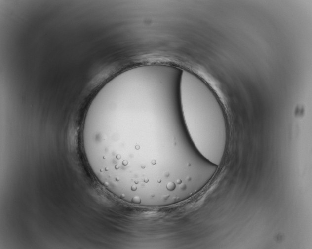 X0000103230153200808280958
