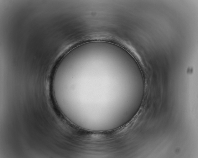 X0000103230154200808280958