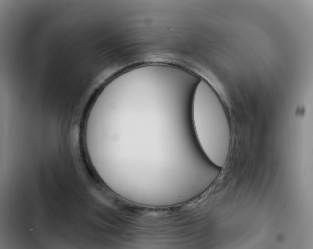 X0000103230155200808280958