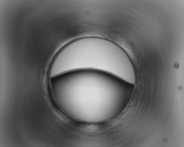 X0000103230156200808280958