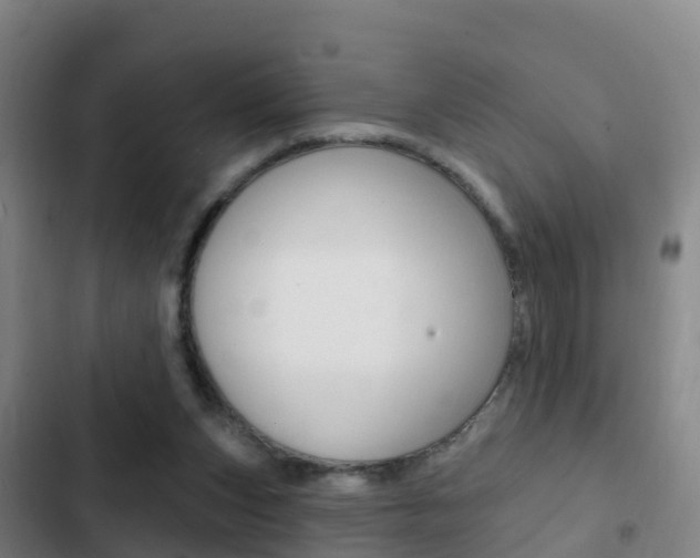 X0000103230159200808280958