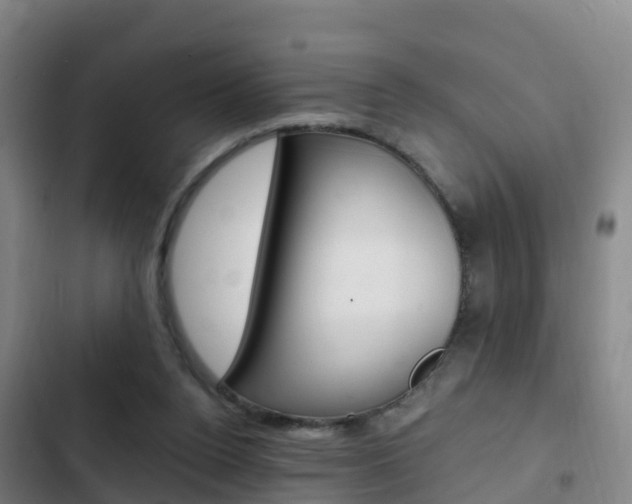 X0000103230160200808280958