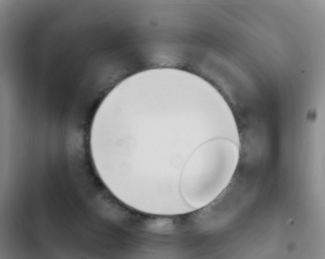 X0000103230162200808280958