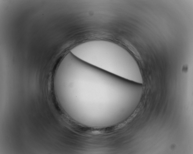 X0000103230163200808280958