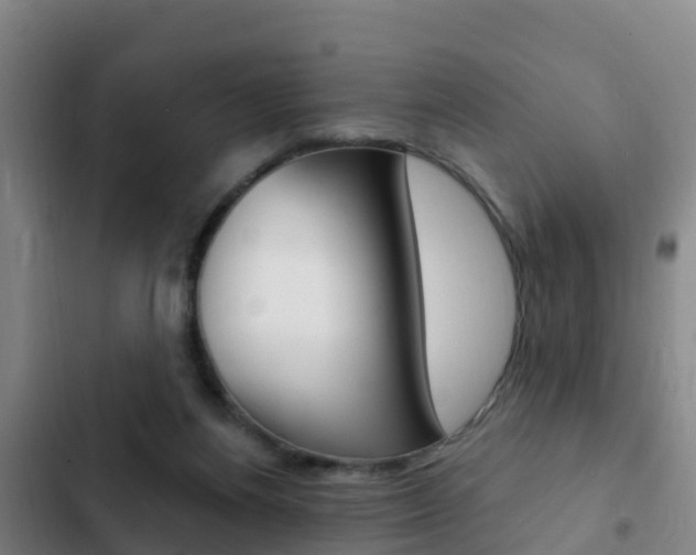 X0000103230164200808280958