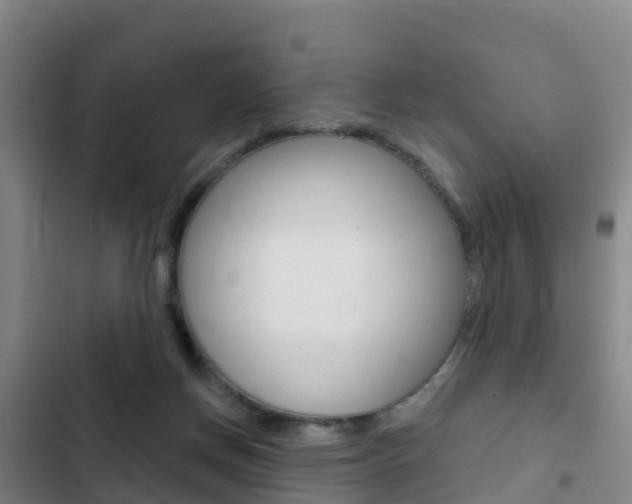 X0000103230166200808280958