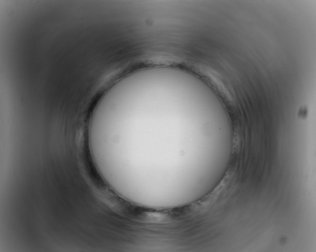 X0000103230167200808280958