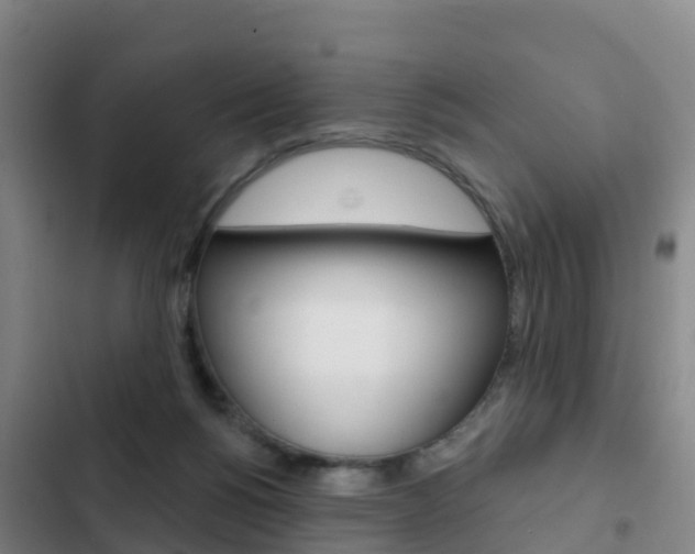 X0000103230168200808280958