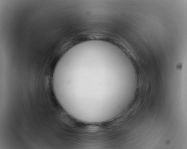 X0000103230169200808280958