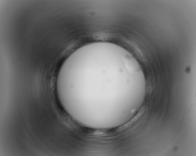 X0000103230171200808280958