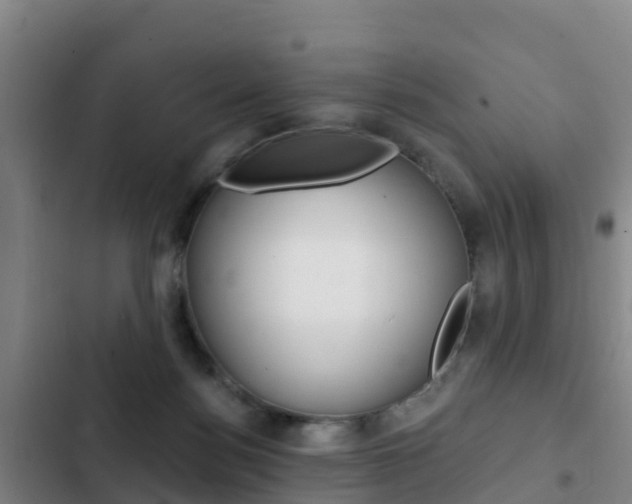 X0000103230172200808280958