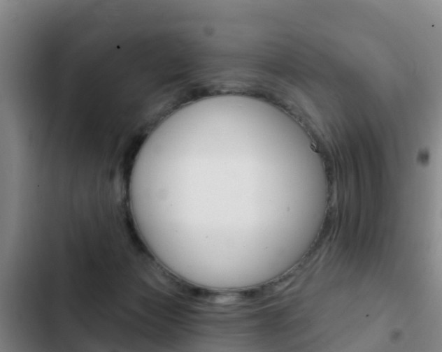 X0000103230173200808280958