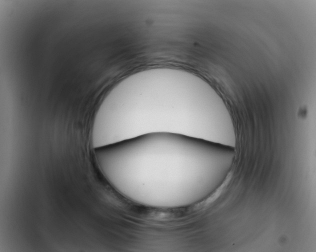 X0000103230174200808280958