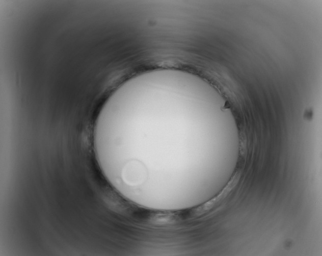 X0000103230175200808280958