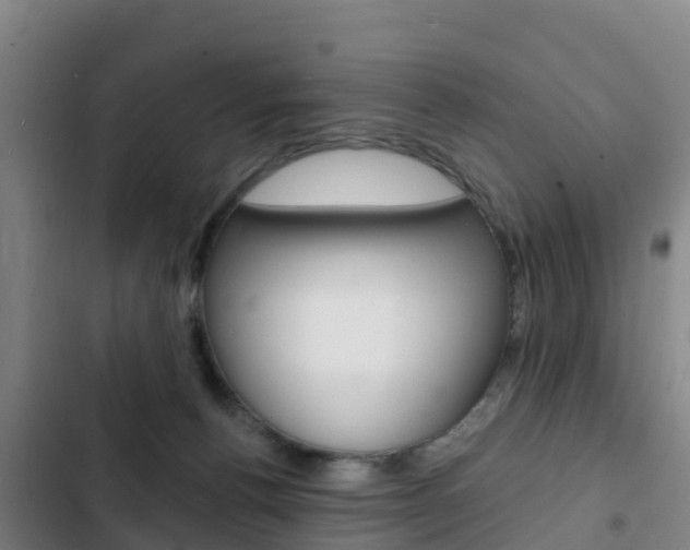 X0000103230176200808280958