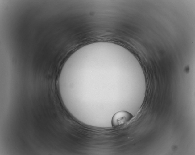 X0000103230180200808280959
