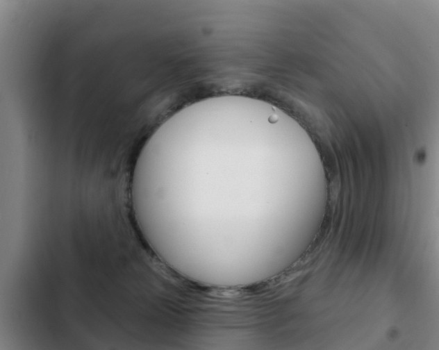 X0000103230181200808280959