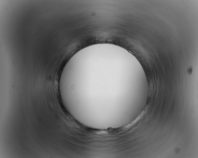 X0000103230183200808280959
