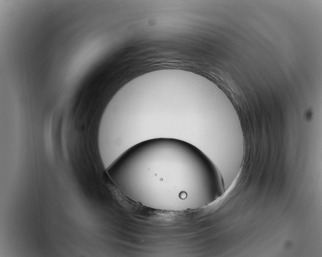 X0000103230190200808280959