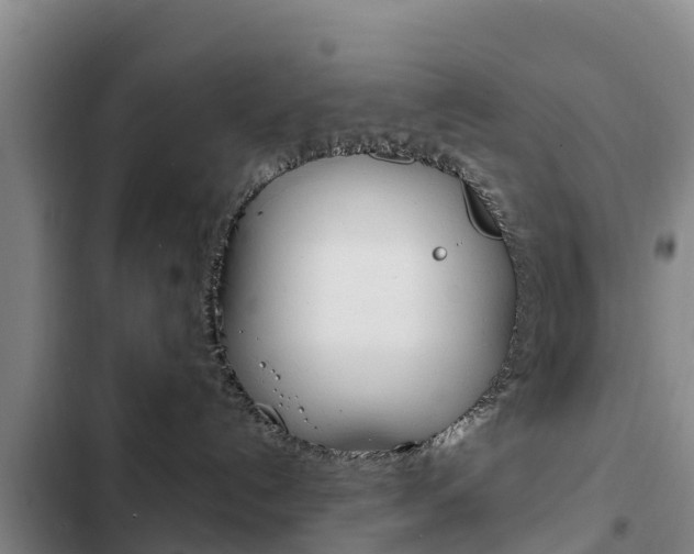 X0000103230192200808280959