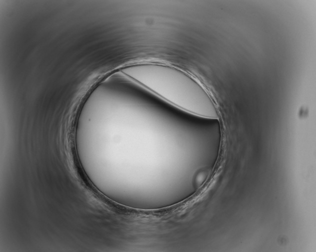 X0000103230193200808280958